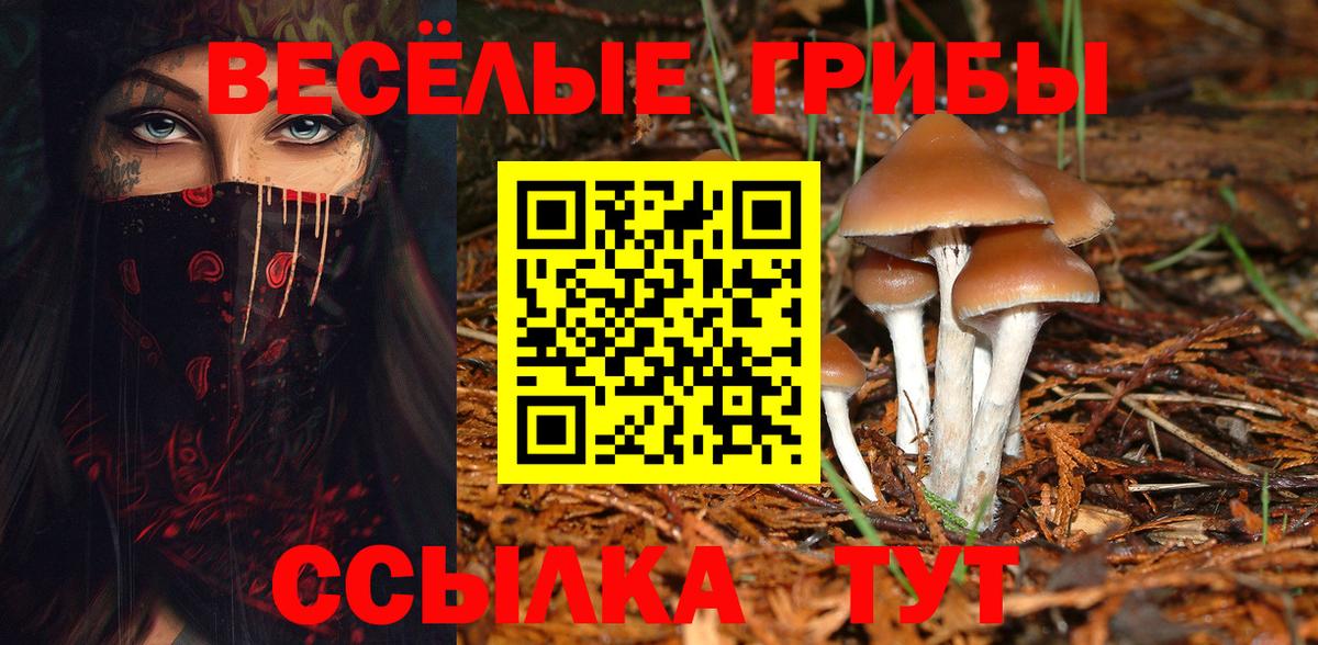 Домодедово  Псилоцибиновые грибы MAGIC MUSHROOMS  купить   Вход с VPN 